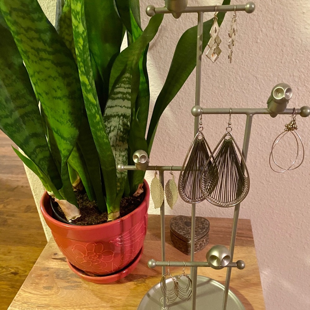 Earring Bundle (5 Pairs)
